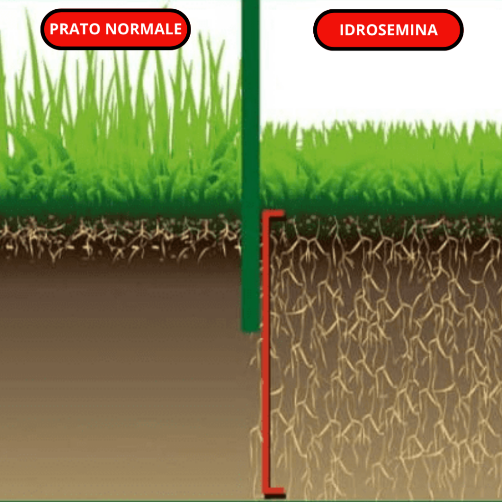 Idro Seminatrice 5